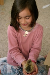 img_8557 img_8557