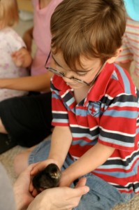img_8563 img_8563