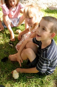 img_8579 img_8579