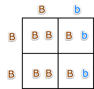 all-brown-2
